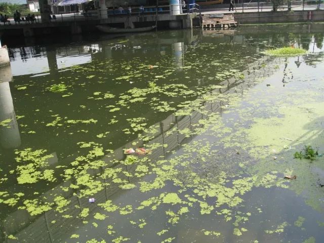 城市黑臭河道如何治理？河道黑臭水體治理思路