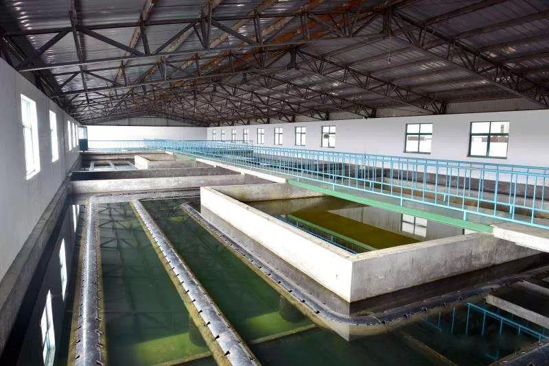 什么是制糖廢水？制糖廢水處理技術(shù)