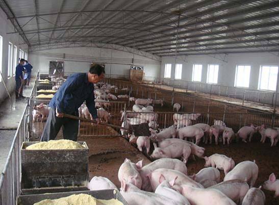 什么是養(yǎng)殖廢水？養(yǎng)殖廢水處理工藝
